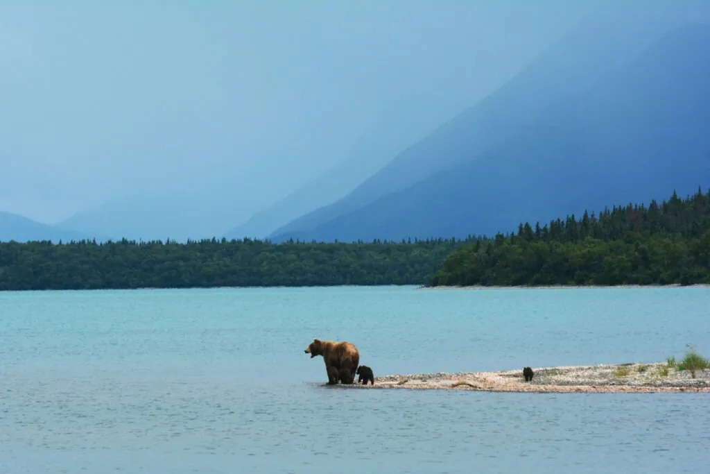 Sentiers de rêve en Alaska et au Yukon