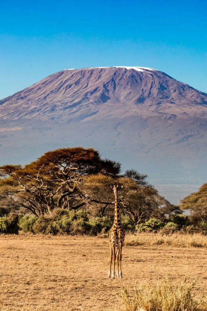 Ascension du Kilimandjaro